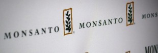 Bayer et Monsanto pourraient bientôt ne faire plus qu'un ?