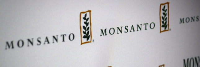 Bayer et Monsanto pourraient bientôt ne faire plus qu’un ?