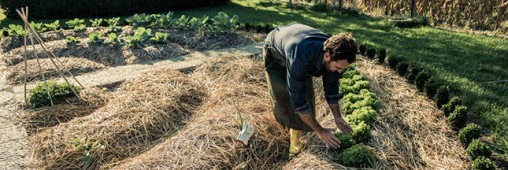 Permaculture ou agriculture naturelle : l’avis d’un agronome