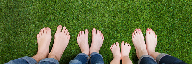 tondeuse à gazon écologiques