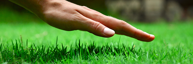 Jardin bio : quelle tondeuse écolo pour mon jardin ?