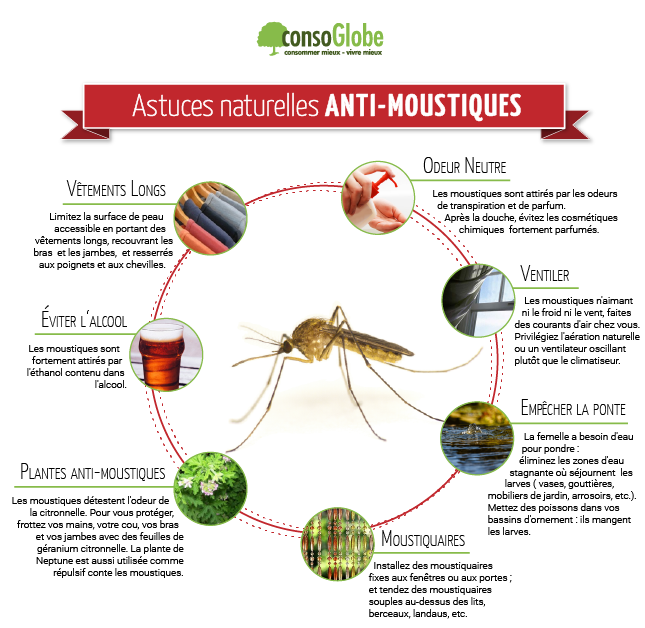 Des astuces naturelles pour éloigner les moustiques