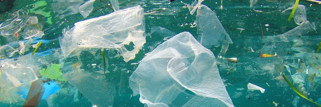 continent de déchets plastique