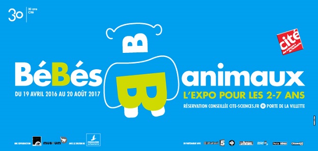 Bebes Animaux L Exposition Decouverte Pour Les Enfants