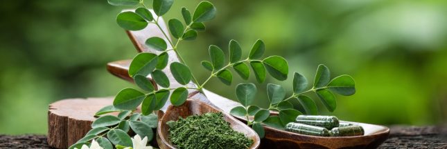 moringa vertus santé