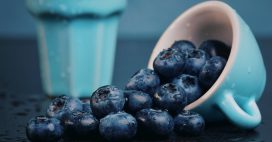 Myrtille : ce petit fruit améliore circulation, vision… et digestion