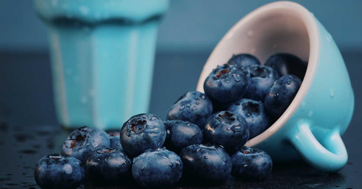 La myrtille : les grandes vertus d'une petite baie La myrtille : les grandes vertus d'une petite baie