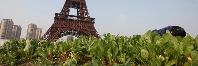 Nourrir les villes, l’exemple de Paris