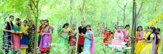 Planter des arbres pour combattre la discrimination des femmes en Inde