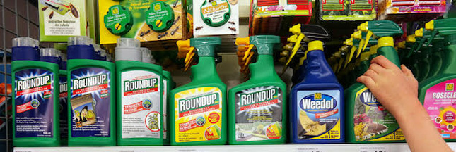 Roundup : l’Europe prolonge l’autorisation de vente de l’herbicide polémique