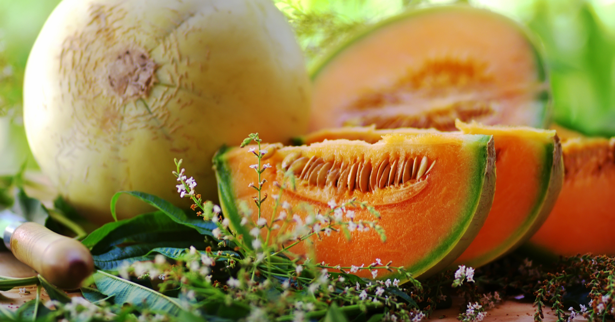 Le vrai faux melon des Charentes