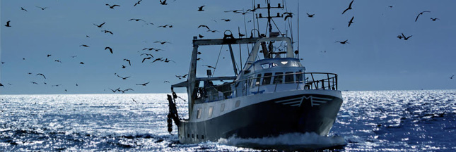 Ressources halieutiques : la pêche en eaux profondes interdite en Europe