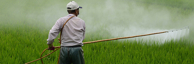 Exposition aux pesticides : plus d’un million de personnes touchées, réglementation inefficace
