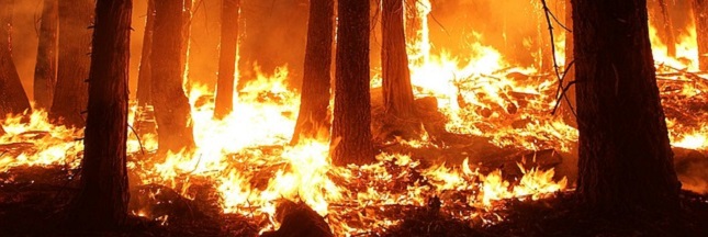 La multiplication des incendies, témoin des changements climatiques