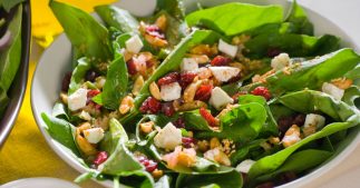 Salade californienne aux cranberries séchées : 5 recettes sucrées-salées à savourer Salade californienne aux cranberries séchées : 5 recettes sucrées-salées à savourer