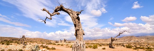 La désertification gagne du terrain en Espagne