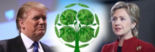 Donald ou Hillary : qui s'occupera d'écologie ? Donald ou Hillary : qui s'occupera d'écologie ?