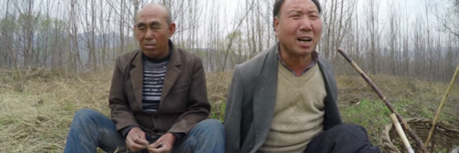 Un non-voyant et son ami manchot plantent une forêt en Chine