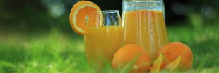 Le jus d'orange va-t-il devenir un produit de luxe ?