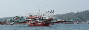 Pêche illégale : l'Indonésie va couler les bateaux des tricheurs