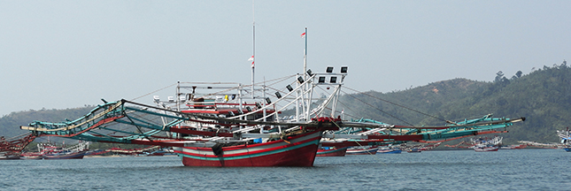 lutte contre la pêche illégale Indonésie Sumatra