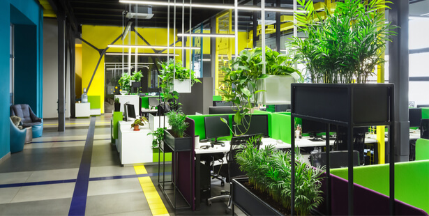 plantes au bureau