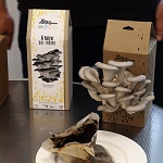 La Boite à Champignons