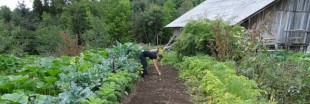 Un village de Dordogne reprend vie grâce à l'écologie