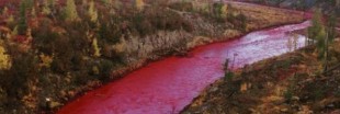 Une rivière russe devient rouge : l'usine proche accusée de pollution
