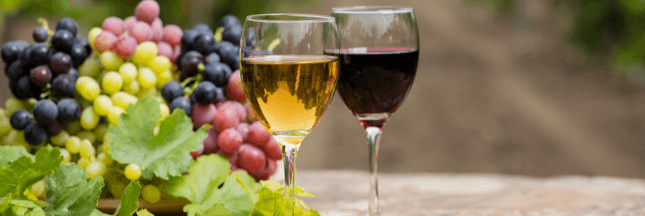 Connaître les vins bios