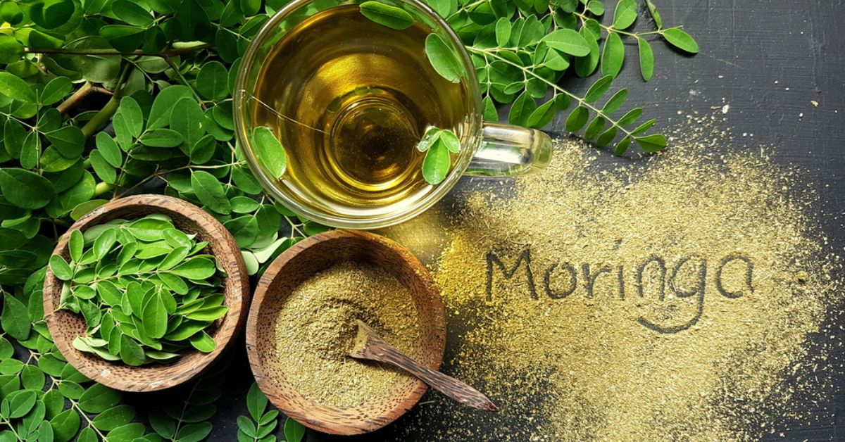 Gardez la forme grâce au Moringa oleifera, l'arbre de vie miracle !