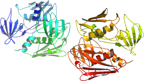 SCT, menstruation, staphylocoque doré