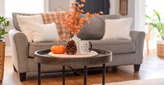 Habitat : une déco d'automne plus verte !