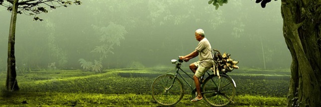 Découvrez le top 100 des destinations vertes