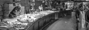 Étiquetage alimentaire : le poisson à nouveau épinglé