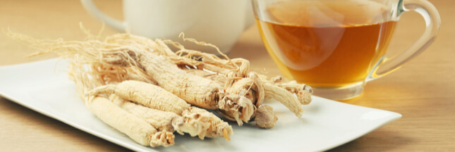 Le ginseng, bienfaits nombreux pour une santé de fer