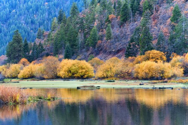 Lac Klamath