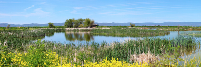 Lac Klamath : la pureté naturelle pour votre santé