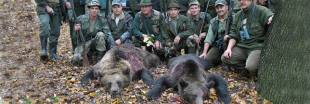 La Roumanie met un terme à la chasse 'sportive' des espèces en danger