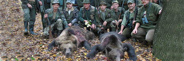 La Roumanie met un terme à la chasse ‘sportive’ des espèces en danger
