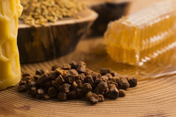 propolis, produits d ela ruche, apithérapie