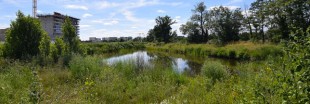 La ville de Rennes élue capitale de la biodiversité 2016