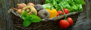 5 fruits et légumes par jour : encore de gros efforts à faire