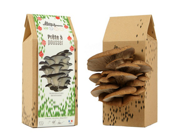 box champignons