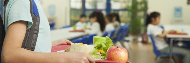 Les barquettes plastique dans les cantines : une aberration