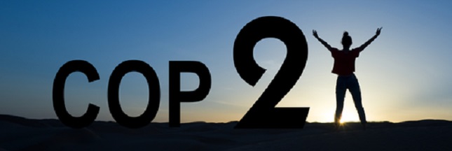 Impact de la COP21 : "Il y a une véritable dynamique au niveau local" Impact de la COP21 : "Il y a une véritable dynamique au niveau local"