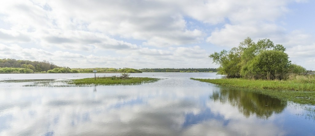 La Loire-Atlantique, le département le plus écologique de France