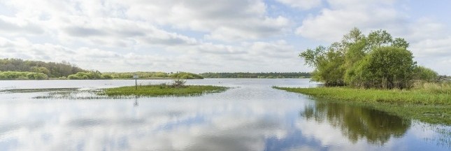 Département de Loire-Atlantique, marais de Brière, département écolo