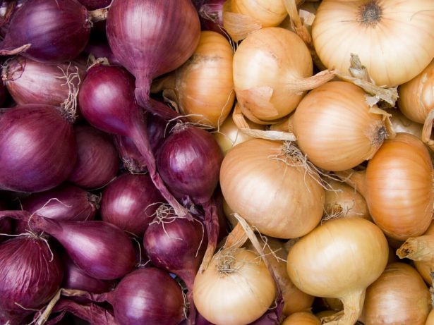 légumes de saison novembre