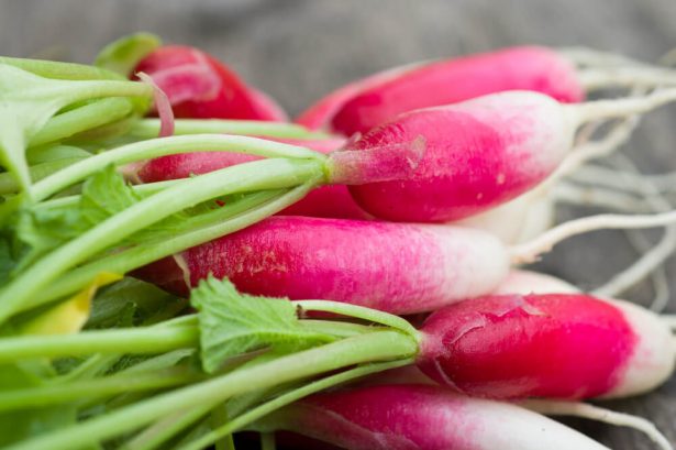 légumes de saison novembre